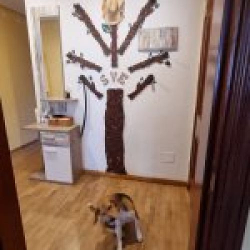 img 20251001 wa0033